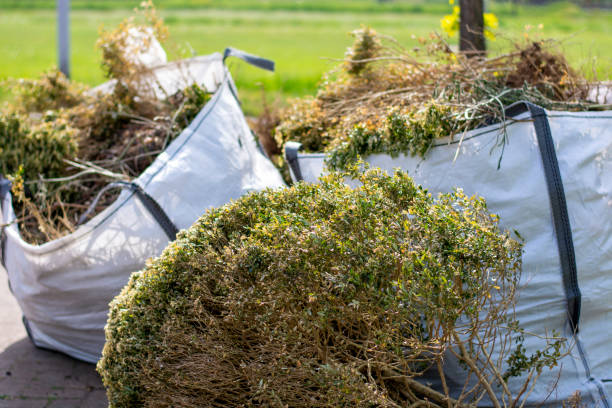 Debris Removal in Cedar Grove, WI